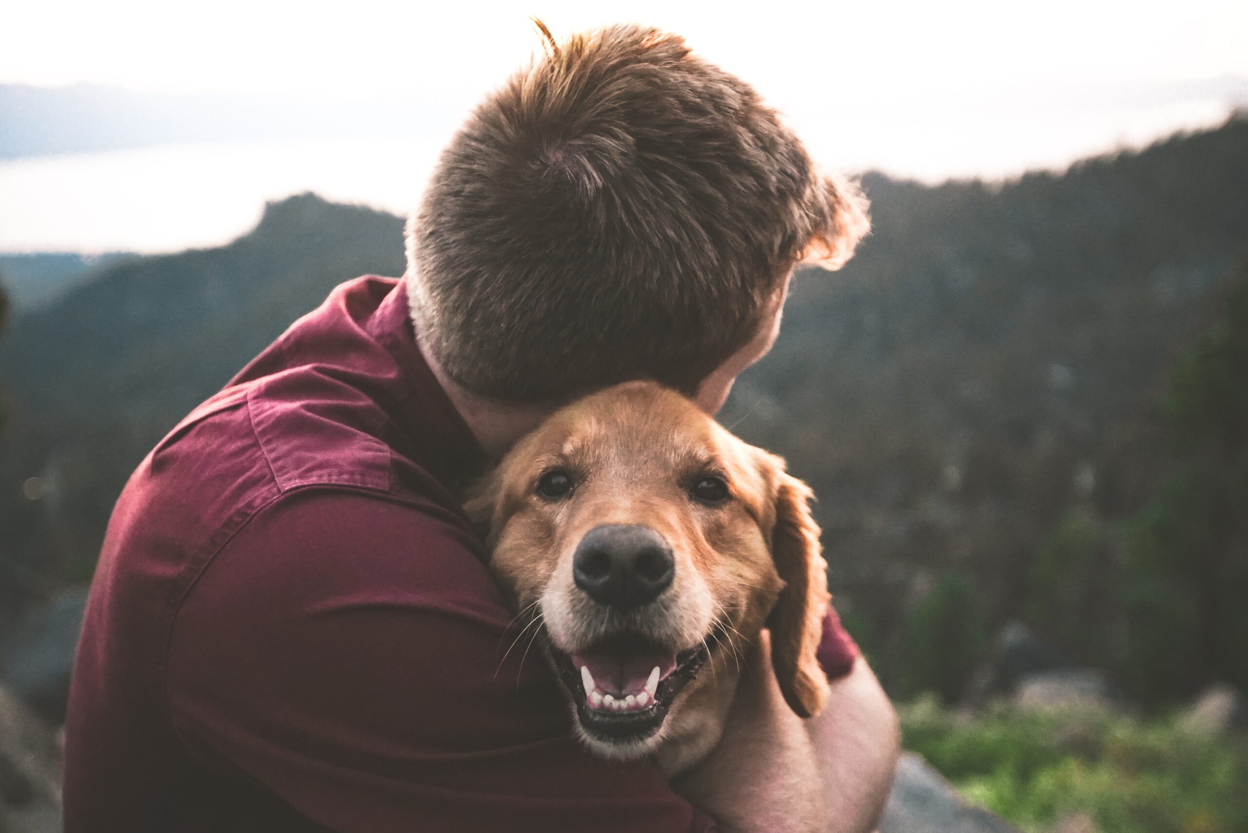 man with a golden retriever dog