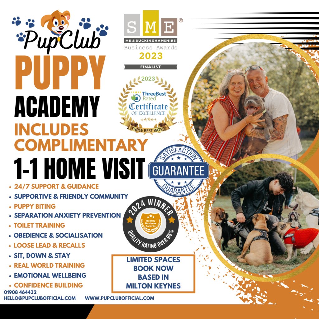 Puppy Academy 6 Week Course with FREE Home Visit Training Session Pup