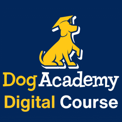 Digital Academy Membership £30/Month