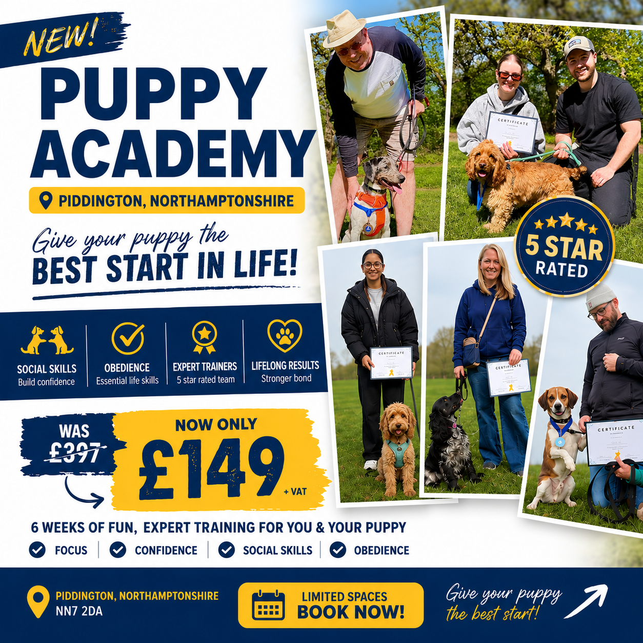 6 Week Puppy Academy Course - Piddington
